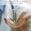 cannabis gegen krebs der stand der wissenschaft und praktische folgerungen fuer die therapie
