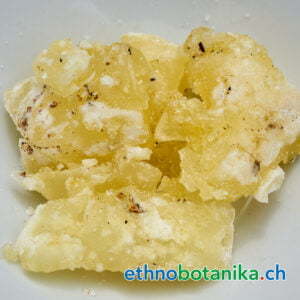 Agathis dammara rohstoff 01