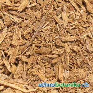 Aquilaria malaccensis rohstoff 01