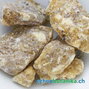 Boswellia sacra Marokko rohstoff 01