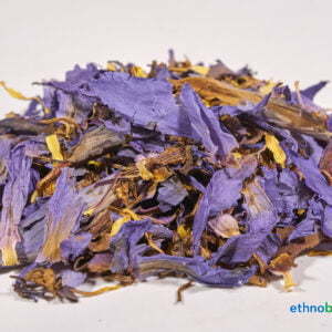 Nymphaea caerulea 06