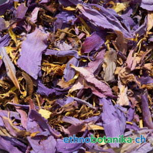 Nymphaea nouchali var caerulea rohstoff 01