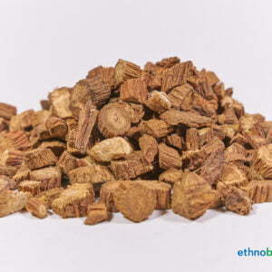 Salvia miltiorrhiza bunge 02