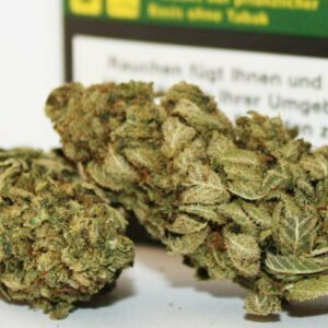 Chronic Pure Orange Dream 03