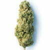 passion kush green passion biologische indoor hanfblueten