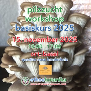 Pilzkurs 2025 Front 1 Online v.2.2 15.Novemeber 2024