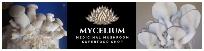 mycelium logo